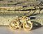 View Bicycle Gold Image 5