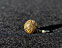View Basketball 5/8 Gold Image 1