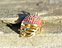 View Hot Pink & Gold Hemet Image 6