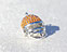 View Orange & White Helmet Image 7