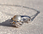 View Lung Cancer Ribbon Necklace Image 5