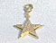 View Star Gold Image 4