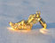 View Cross Country Shoe Gold Image 7