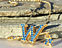 View Westlake Warrior Gold Image 4