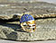 View Royal Blue & Gold Helmet Image 6