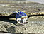 View Royal Blue & White Helmet Image 6
