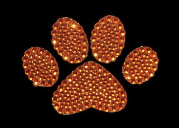 View Rhinestone Sticker Paw Orange Image 1